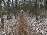 Begunje - Goli vrh (Cemarovnik)